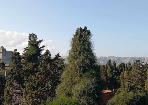 Une ferme  à Ras Jebel – Bizerte 🌾