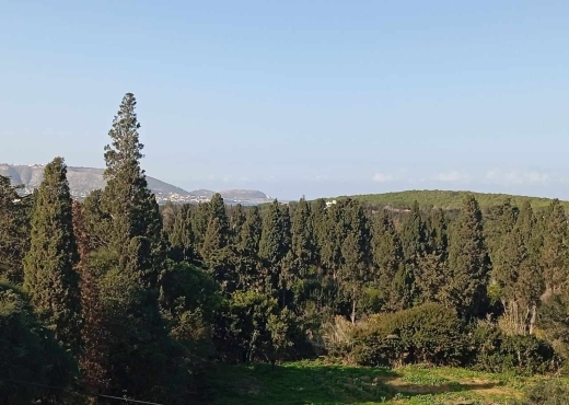 Une ferme  à Ras Jebel – Bizerte 🌾