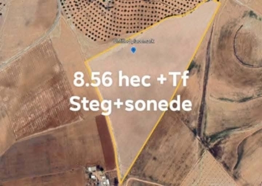 ارض فلاحية منبسطة بسيدي مدين