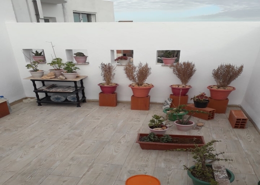 Joli appartement S+2