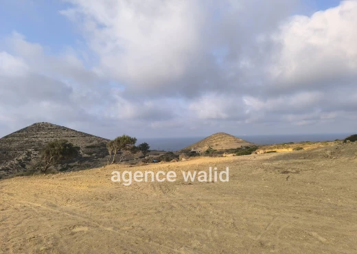 terrain À Vendre à BIZERTE - Terrain à vendre à Rafraf - Immobiliere.tn - Photo 3