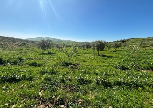 Belle ferme lansarine tborba