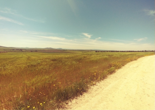 5 hectares terrain agricole nu