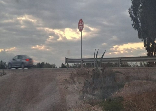 AV 300m aklm 71 hamammet sud