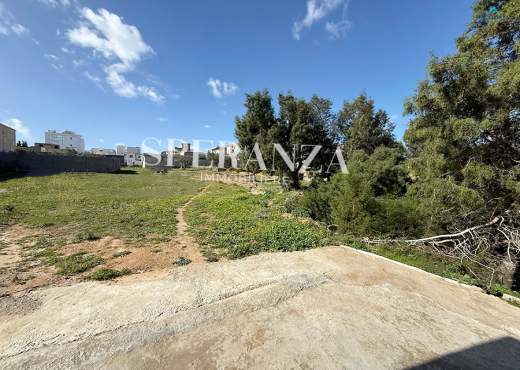 terrain À Vendre à NABEUL - Terrain Darej - Immobiliere.tn - Photo 2