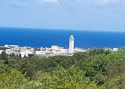 terrain À Vendre à BIZERTE - Terrain a raf raf  9300m² - Immobiliere.tn - Photo 8