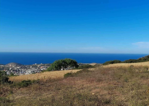 terrain À Vendre à BIZERTE - Terrain a raf raf  1 hectare - Immobiliere.tn