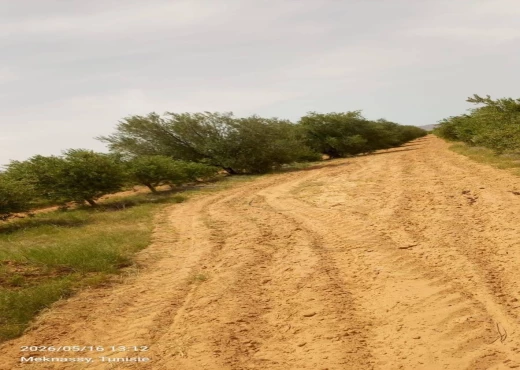 terrain À Vendre à SIDI BOUZID - Ferme modèle à vendre - Immobiliere.tn - Photo 3
