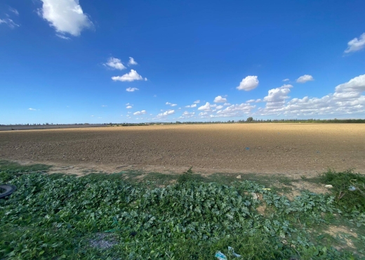 un superbe terrain agricole