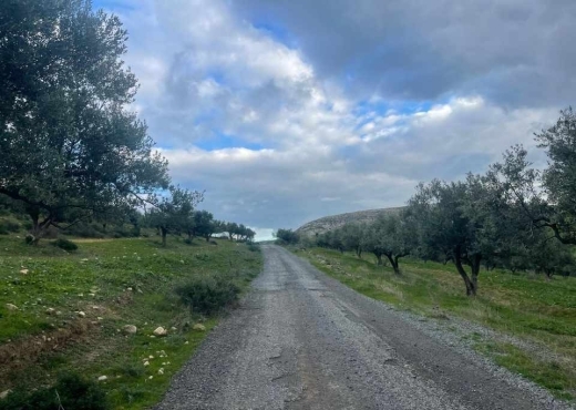 terrain agricole