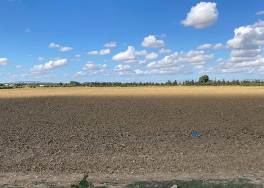 un superbe terrain agricole