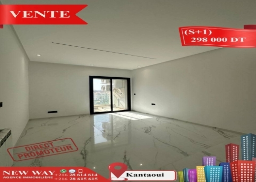 (S+1)direct promoteur à kantaoui
