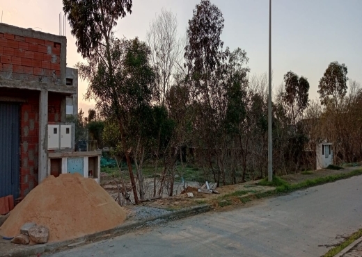 terrain À Vendre à ARIANA - à vendre à lotissement les flamants roses - Immobiliere.tn - Photo 6