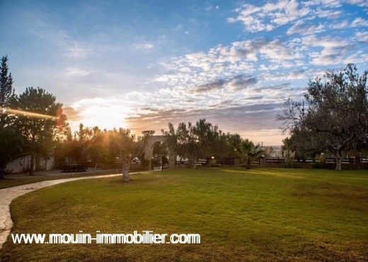 maison À Vendre à NABEUL - L'Havre De Paix AV1976 Hammamet - Immobiliere.tn - Photo 7