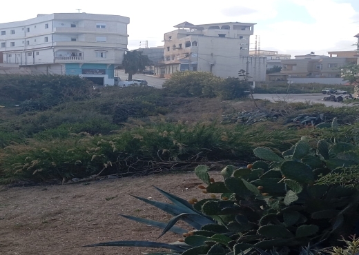 Terrain à Rafraf – Emplacement exceptionnel 🌅