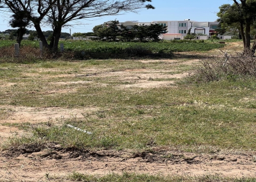 Des terrains , à partir de 320 m²