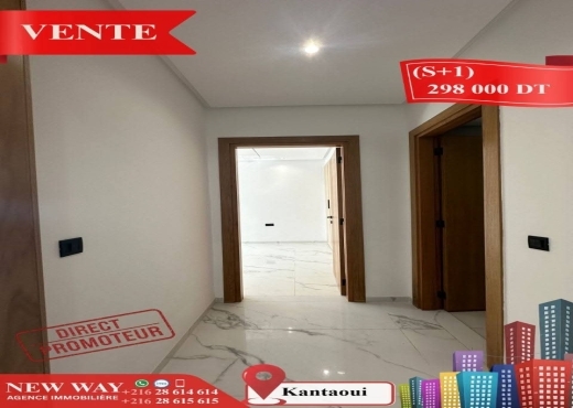 (S+1)direct promoteur à kantaoui