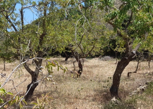 Terrain  à  raf raf  de 2400m²