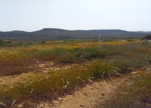 terrain agricole