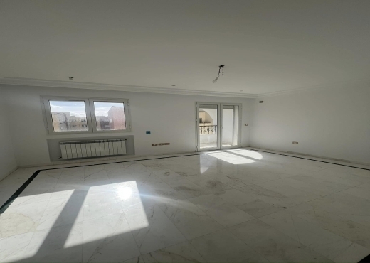 A VENDRE S+3 DIRECT PROMOTEUR