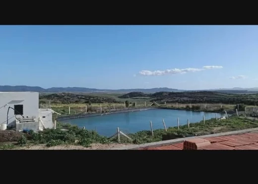 terrain À Vendre à ZAGHOUAN - société agricole à vendre - Immobiliere.tn - Photo 2