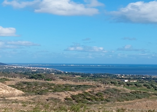 À vendre – Immeuble à Bab Aliwa🏢