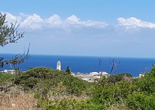 terrain À Vendre à BIZERTE - Terrain a raf raf  9300m² - Immobiliere.tn - Photo 7