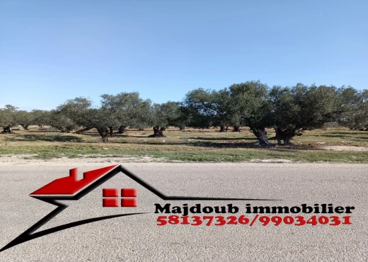 terrain À Vendre à SOUSSE - Vente : 3 Terrains - Immobiliere.tn