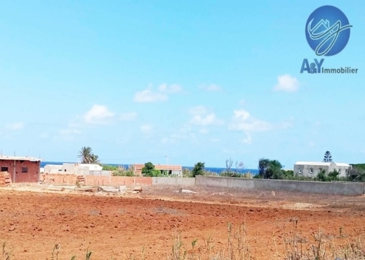 🌊 Terrain 1000 m² à Borj Salhi – Vue mer
