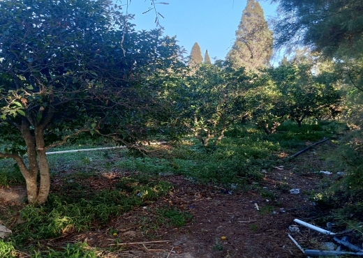 Terrain agricole de 1005 m² à Ras Jebel