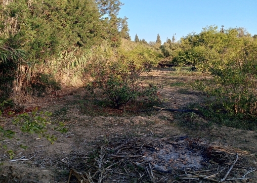 Terrain agricole de 1005 m² à Ras Jebel