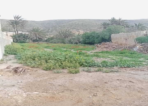 terrain À Vendre à BIZERTE - A Vendre Terrain à Ghar ElMelh - Immobiliere.tn - Photo 3