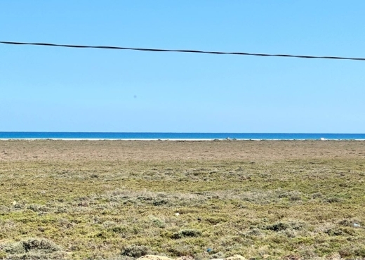 av 450m plage hamammet sud