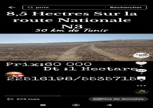 8.5 hectares Idéal pour agricole e