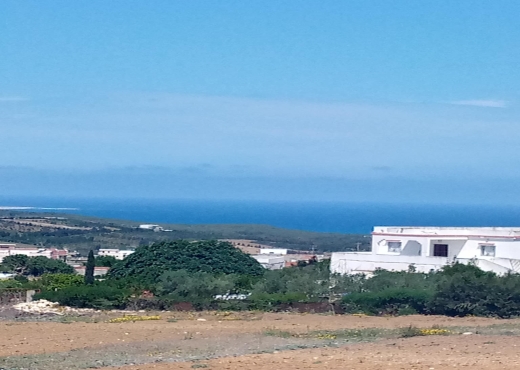 A Vendre 2 lots Terrain Ain Berda