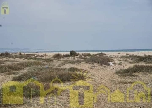 5000m aklm 71 hamammet sud