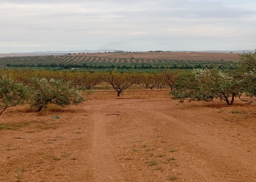 🚜 Terrain productif avec bâtiments