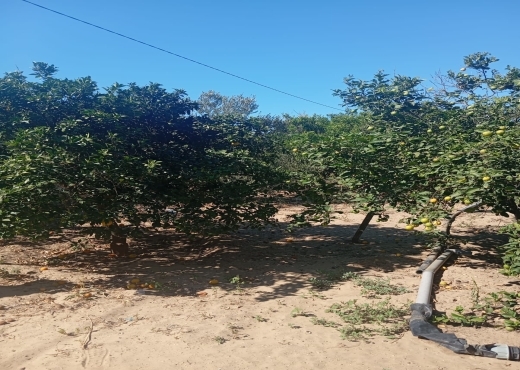 Opportunité Rare 🌅 Terrain 1 ha + 1000 m²