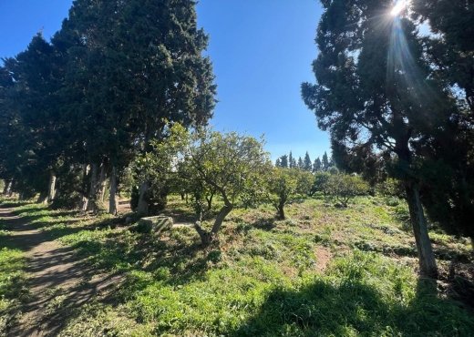 à vendre à soliman