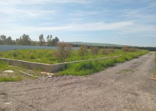 A vendre des lots de terrain à utique