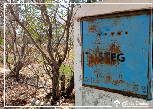 terrain À Vendre à ARIANA - un lot de terrain viabilisé à raoued - Immobiliere.tn