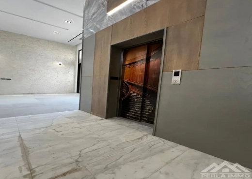 A Vendre Villa de luxe à Mornag