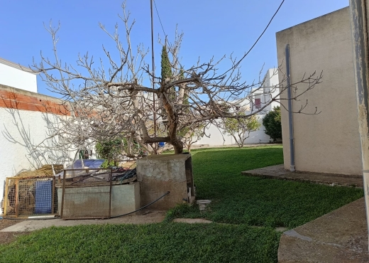 à vendre à la soukra