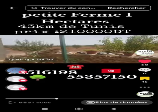 Une charmante petite ferme