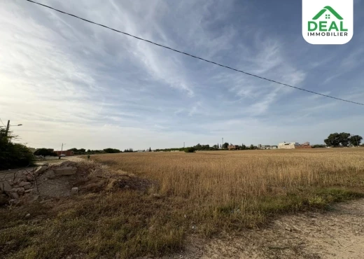 terrain À Vendre à SOUSSE - Lotissement de 6 hectare et demi à Kroussia - Immobiliere.tn - Photo 3