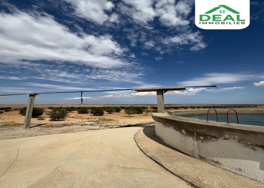 Seniya de 4 hectare et 5000 m² à vendre