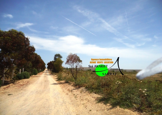 A Vendre Terrain a Hergla Sousse
