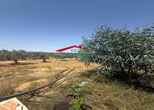 Ferme avec Maison Équipée – Kalaa