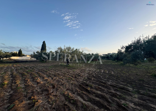 Vente Terrain Amell