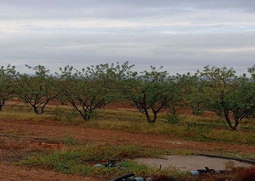 🚜 Terrain productif avec bâtiments